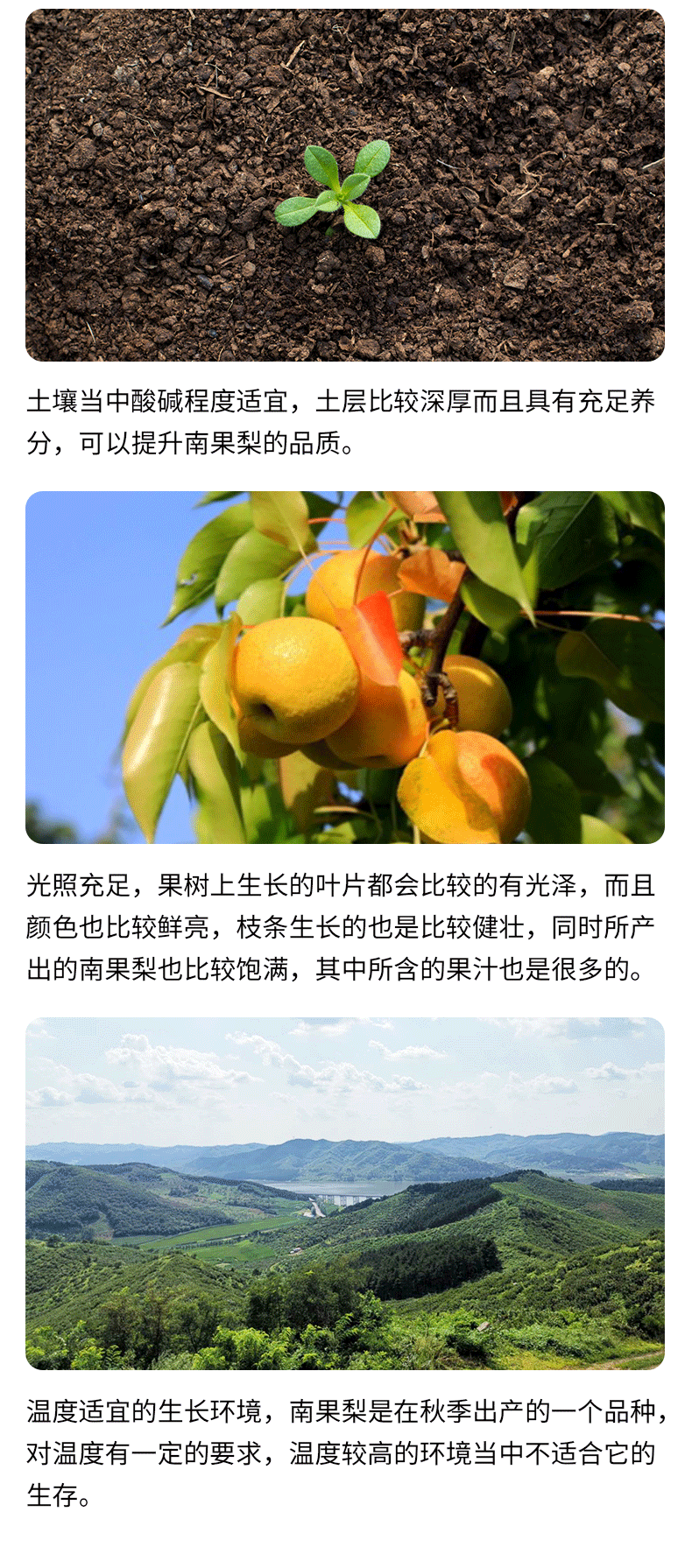 微信圖片_20200929121955_06.gif