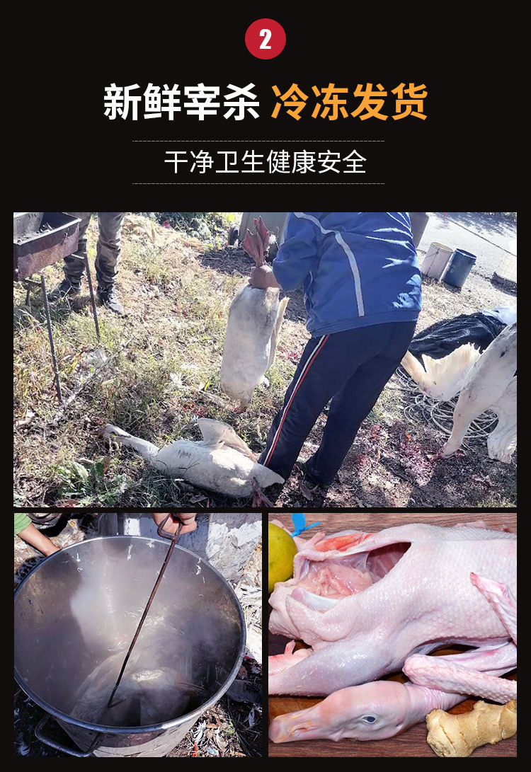 微信圖片_20201030122137_04.jpg