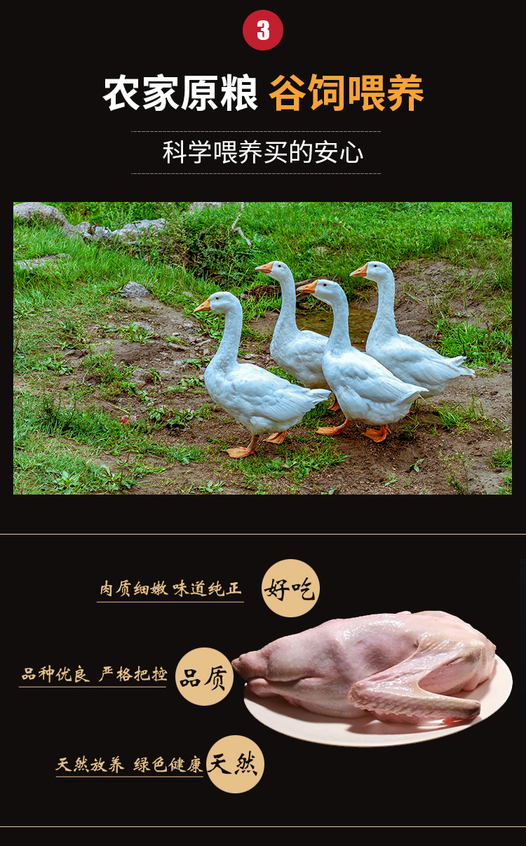 微信圖片_20201030122137_05.jpg
