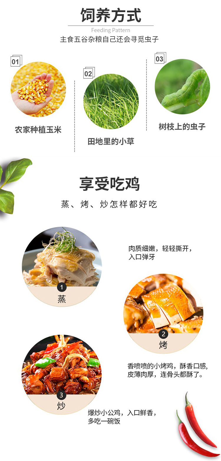 微信圖片_20201030122146_05.jpg